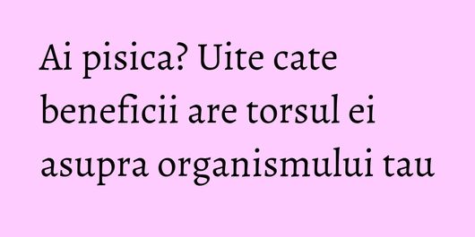 Ai pisica? Uite cate beneficii are torsul ei asupra organismului tau