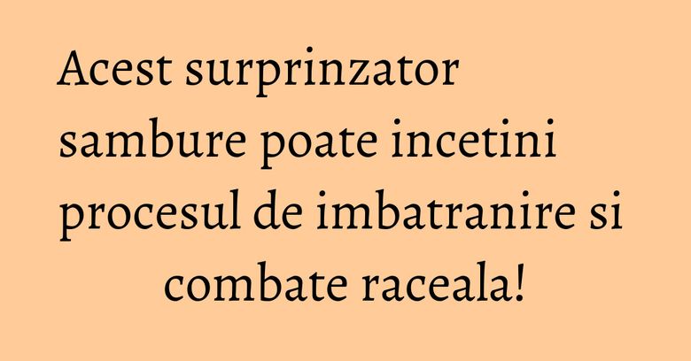 Acest surprinzator sambure poate incetini procesul de imbatranire si combate raceala!