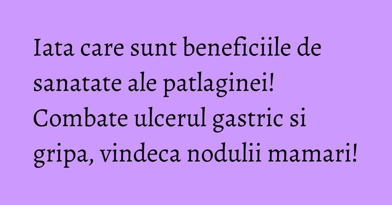 Iata care sunt beneficiile de sanatate ale patlaginei! Combate ulcerul gastric si gripa, vindeca nodulii mamari!