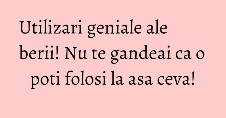 Utilizari geniale ale berii! Nu te gandeai ca o poti folosi la asa ceva! Utilizari geniale ale berii! Nu te gandeai ca o poti folosi la asa ceva!