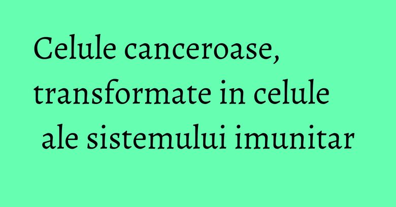 Celule canceroase, transformate in celule ale sistemului imunitar