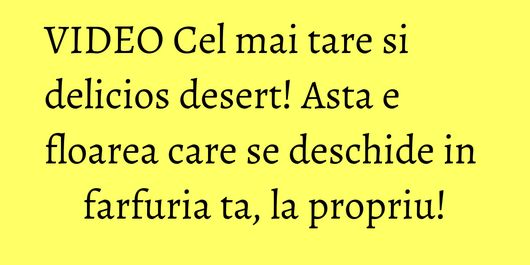 VIDEO Cel mai tare si delicios desert! Asta e floarea care se deschide in farfuria ta, la propriu!