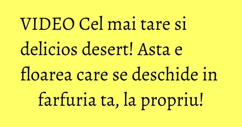 VIDEO Cel mai tare si delicios desert! Asta e floarea care se deschide in farfuria ta, la propriu!