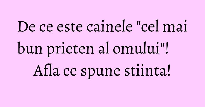 De ce este cainele "cel mai bun prieten al omului"! Afla ce spune stiinta!