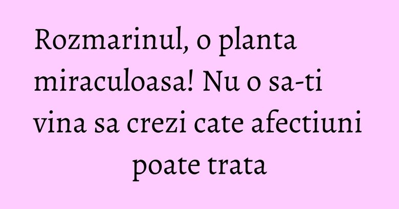 Rozmarinul, o planta miraculoasa! Nu o sa-ti vina sa crezi cate afectiuni poate trata