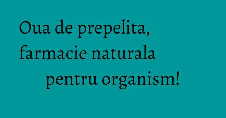 Oua de prepelita, farmacie naturala pentru organism!