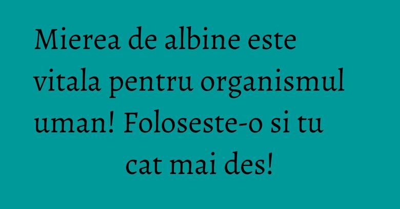 Mierea de albine este vitala pentru organismul uman! Foloseste-o si tu cat mai des! Mierea de albine este vitala pentru organismul uman! Foloseste-o si tu cat mai des!