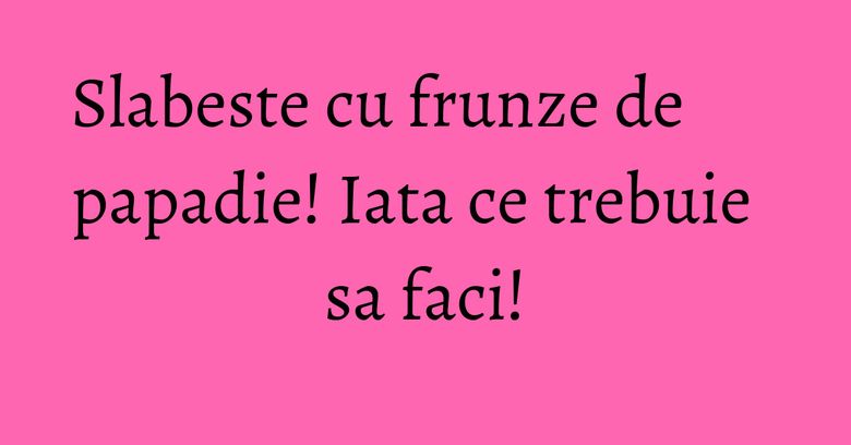 Slabeste cu frunze de papadie! Iata ce trebuie sa faci! Slabeste cu frunze de papadie! Iata ce trebuie sa faci!