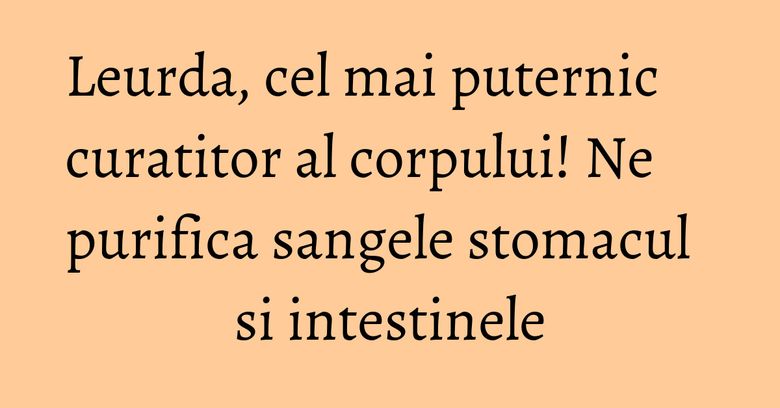 Leurda, cel mai puternic curatitor al corpului! Ne purifica sangele stomacul si intestinele