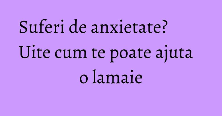 Suferi de anxietate? Uite cum te poate ajuta o lamaie Suferi de anxietate? Uite cum te poate ajuta o lamaie