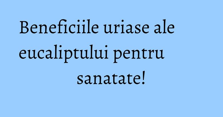 Beneficiile uriase ale eucaliptului pentru sanatate! Beneficiile uriase ale eucaliptului pentru sanatate!