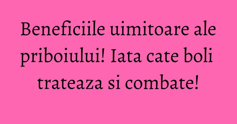 Beneficiile uimitoare ale priboiului! Iata cate boli trateaza si combate! Beneficiile uimitoare ale priboiului! Iata cate boli trateaza si combate!