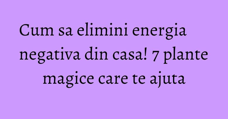 Cum sa elimini energia negativa din casa! 7 plante magice care te ajuta Cum sa elimini energia negativa din casa! 7 plante magice care te ajuta