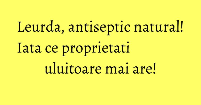 Leurda, antiseptic natural! Iata ce proprietati uluitoare mai are! Leurda, antiseptic natural! Iata ce proprietati uluitoare mai are!