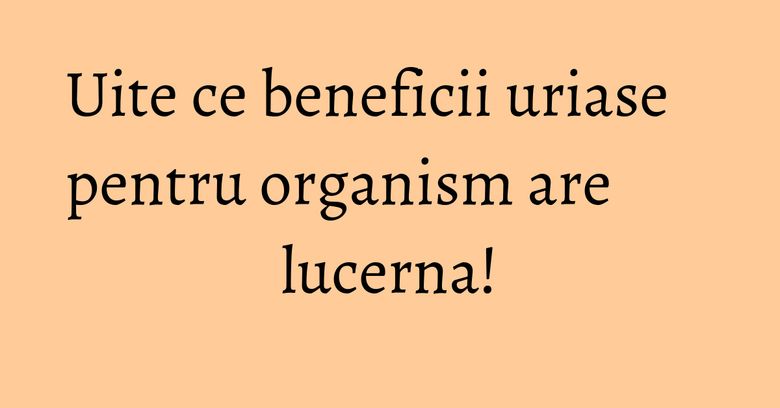 Uite ce beneficii uriase pentru organism are lucerna! Uite ce beneficii uriase pentru organism are lucerna!