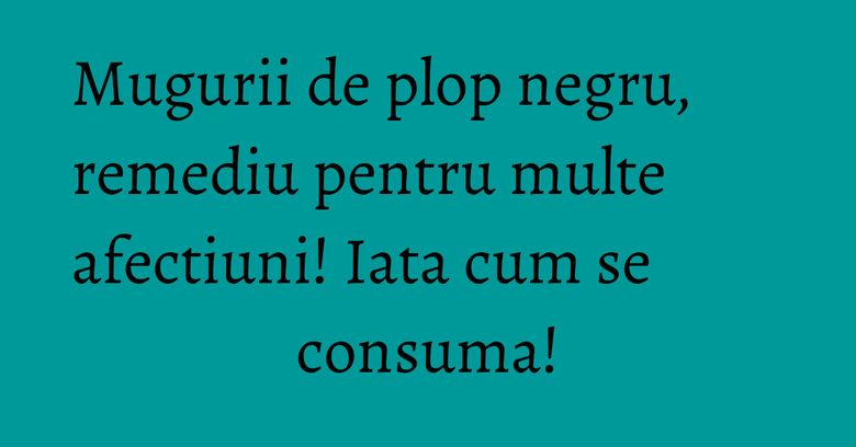 Mugurii de plop negru, remediu pentru multe afectiuni! Iata cum se consuma! Mugurii de plop negru, remediu pentru multe afectiuni! Iata cum se consuma!
