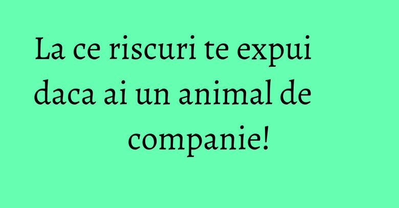 La ce riscuri te expui daca ai un animal de companie!