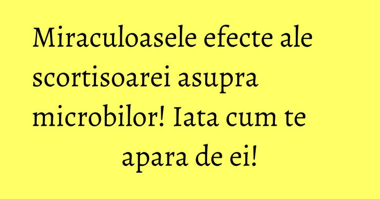 Miraculoasele efecte ale scortisoarei asupra microbilor! Iata cum te apara de ei! Miraculoasele efecte ale scortisoarei asupra microbilor! Iata cum te apara de ei!
