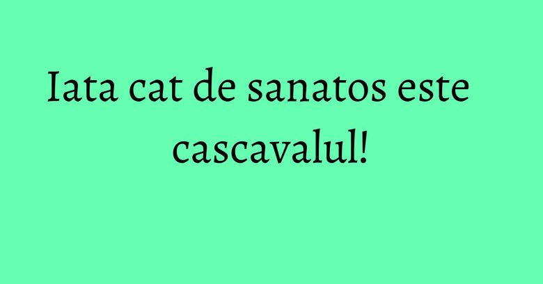 Iata cat de sanatos este cascavalul!