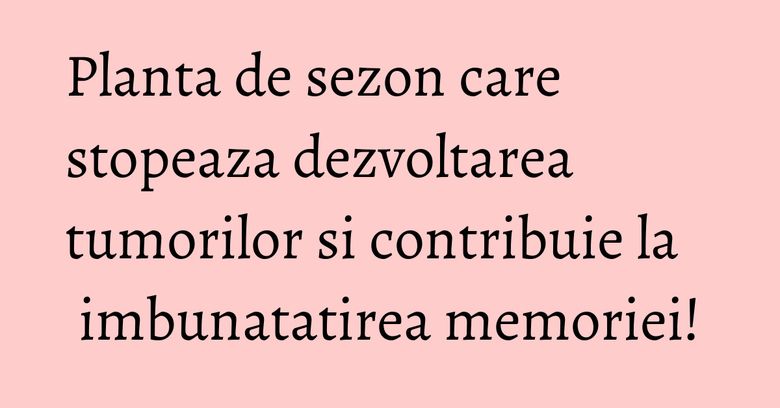 Planta de sezon care stopeaza dezvoltarea tumorilor si contribuie la imbunatatirea memoriei!