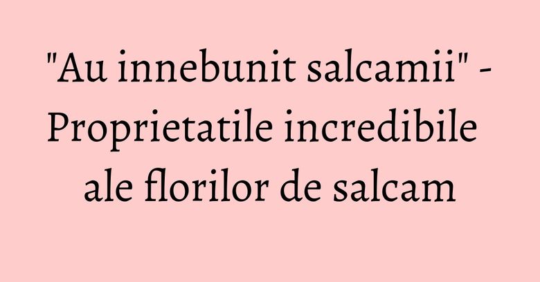 "Au innebunit salcamii" - Proprietatile incredibile ale florilor de salcam "Au innebunit salcamii" - Proprietatile incredibile ale florilor de salcam