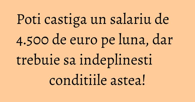 Poti castiga un salariu de 4.500 de euro pe luna, dar trebuie sa indeplinesti conditiile astea!