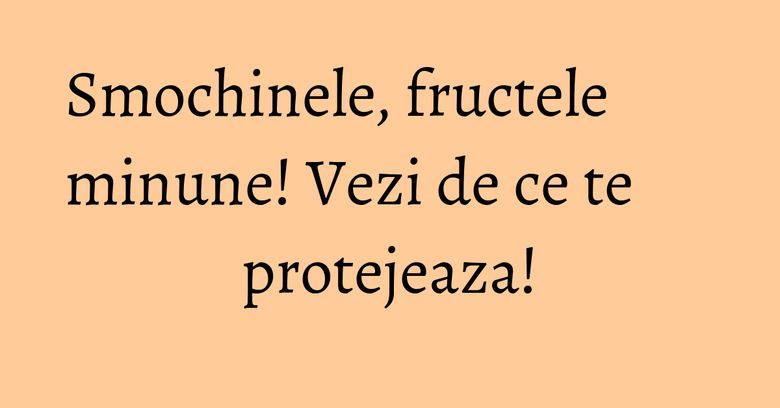 Smochinele, fructele minune! Vezi de ce te protejeaza! Smochinele, fructele minune! Vezi de ce te protejeaza!
