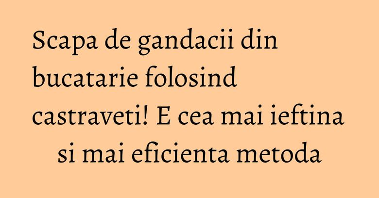 Scapa de gandacii din bucatarie folosind castraveti! E cea mai ieftina si mai eficienta metoda Scapa de gandacii din bucatarie folosind castraveti! E cea mai ieftina si mai eficienta metoda