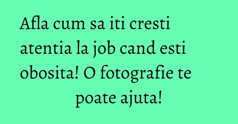 Afla cum sa iti cresti atentia la job cand esti obosita! O fotografie te poate ajuta! Afla cum sa iti cresti atentia la job cand esti obosita! O fotografie te poate ajuta!