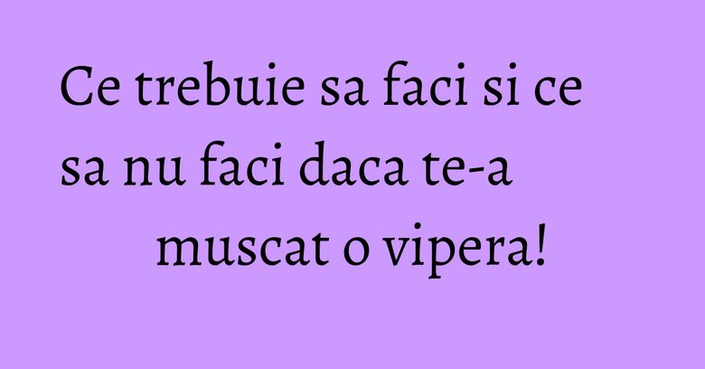 Ce trebuie sa faci si ce sa nu faci daca te-a muscat o vipera! Ce trebuie sa faci si ce sa nu faci daca te-a muscat o vipera!