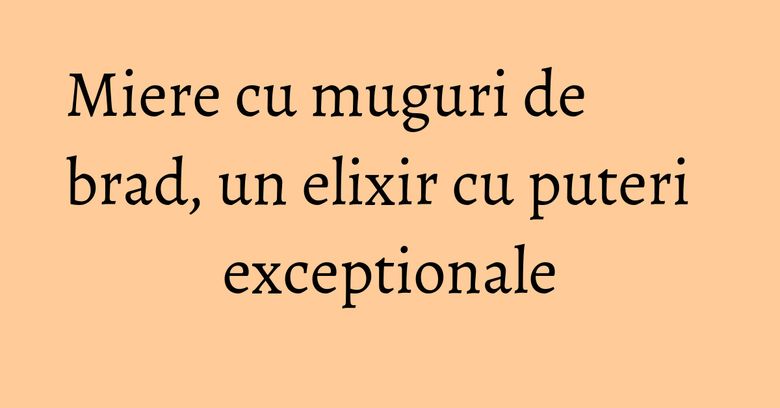 Miere cu muguri de brad, un elixir cu puteri exceptionale