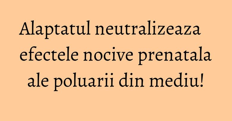 Alaptatul neutralizeaza efectele nocive prenatala ale poluarii din mediu! Alaptatul neutralizeaza efectele nocive prenatala ale poluarii din mediu!