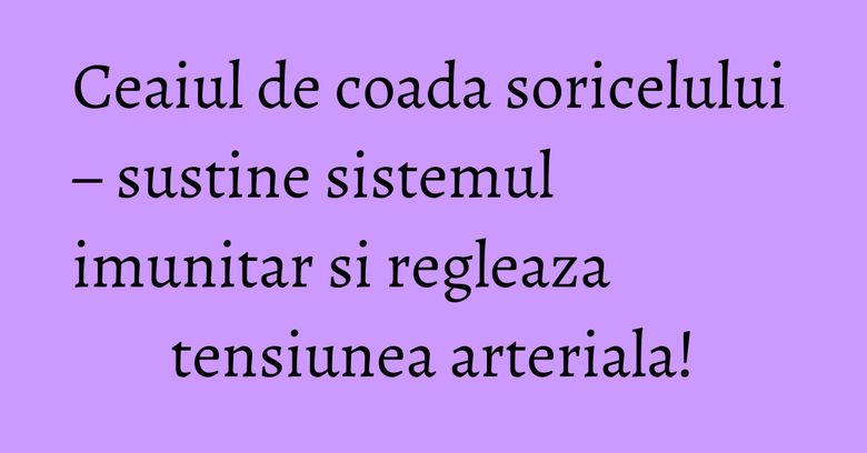 Ceaiul de coada soricelului – sustine sistemul imunitar si regleaza tensiunea arteriala! Ceaiul de coada soricelului – sustine sistemul imunitar si regleaza tensiunea arteriala!