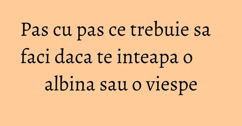Pas cu pas ce trebuie sa faci daca te inteapa o albina sau o viespe