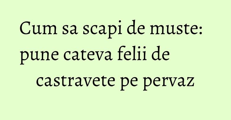 Cum sa scapi de muste: pune cateva felii de castravete pe pervaz