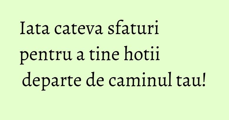 Iata cateva sfaturi pentru a tine hotii departe de caminul tau! Iata cateva sfaturi pentru a tine hotii departe de caminul tau!