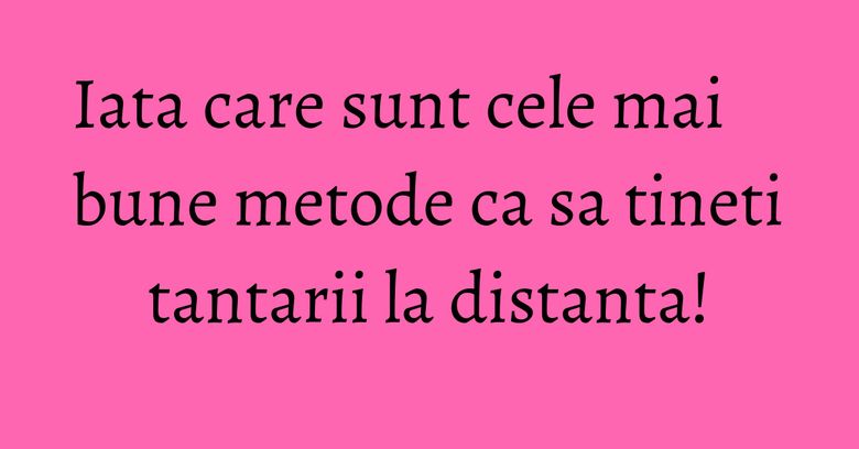 Iata care sunt cele mai bune metode ca sa tineti tantarii la distanta! Iata care sunt cele mai bune metode ca sa tineti tantarii la distanta!