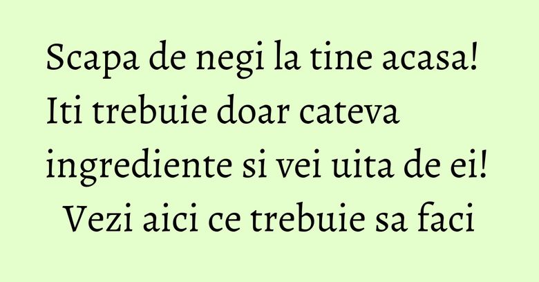 Scapa de negi la tine acasa! Iti trebuie doar cateva ingrediente si vei uita de ei! Vezi aici ce trebuie sa faci Scapa de negi la tine acasa! Iti trebuie doar cateva ingrediente si vei uita de ei! Vezi aici ce trebuie sa faci