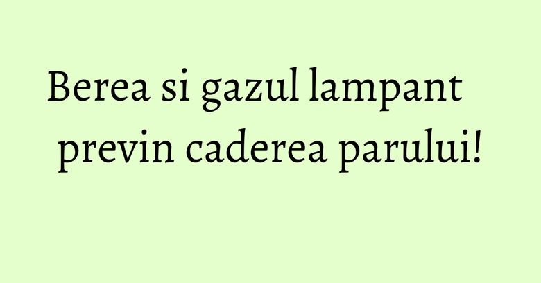 Berea si gazul lampant previn caderea parului! Berea si gazul lampant previn caderea parului!