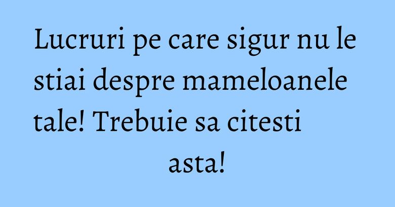 Lucruri pe care sigur nu le stiai despre mameloanele tale! Trebuie sa citesti asta!