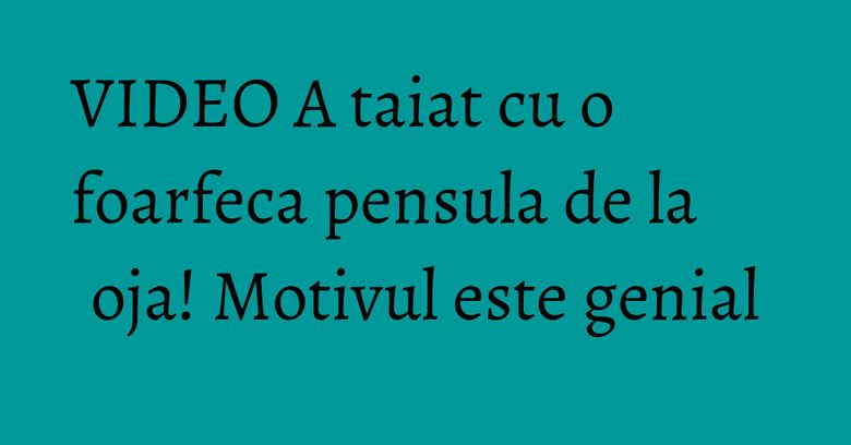 VIDEO A taiat cu o foarfeca pensula de la oja! Motivul este genial