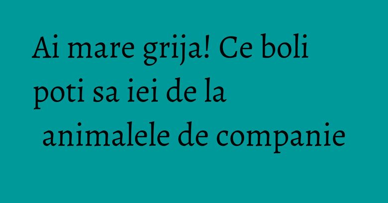 Ai mare grija! Ce boli poti sa iei de la animalele de companie