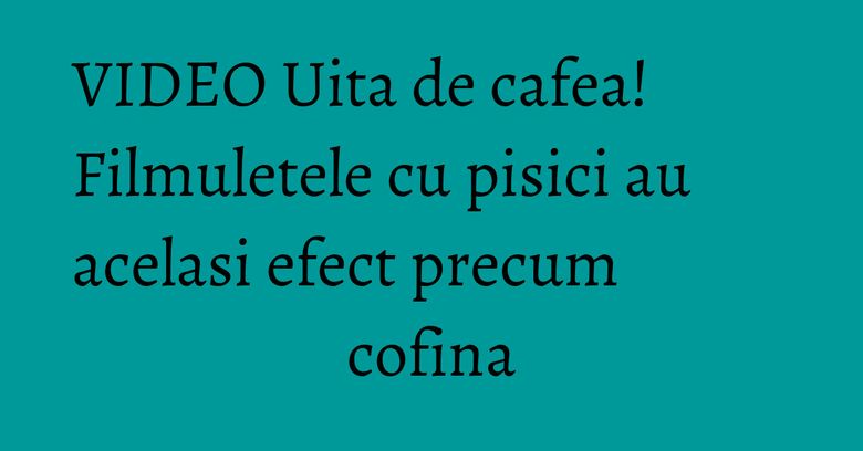 VIDEO Uita de cafea! Filmuletele cu pisici au acelasi efect precum cofina