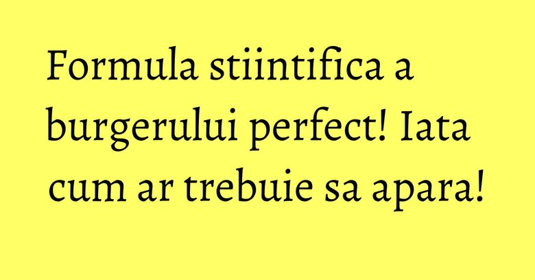 Formula stiintifica a burgerului perfect! Iata cum ar trebuie sa apara! Formula stiintifica a burgerului perfect! Iata cum ar trebuie sa apara!