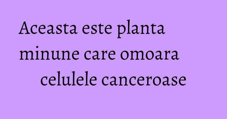Aceasta este planta minune care omoara celulele canceroase Aceasta este planta minune care omoara celulele canceroase