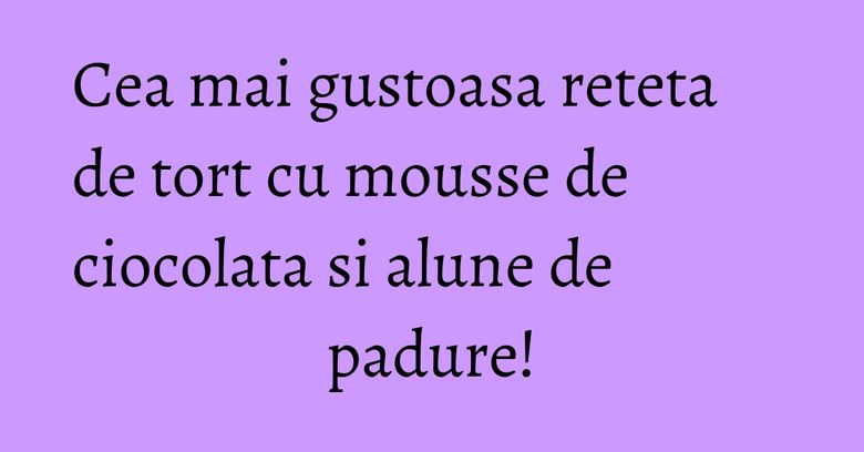 Cea mai gustoasa reteta de tort cu mousse de ciocolata si alune de padure!