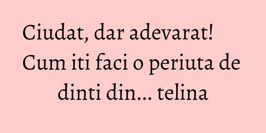 Ciudat, dar adevarat! Cum iti faci o periuta de dinti din... telina