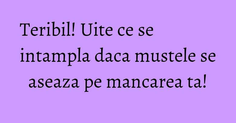 Teribil! Uite ce se intampla daca mustele se aseaza pe mancarea ta! Teribil! Uite ce se intampla daca mustele se aseaza pe mancarea ta!