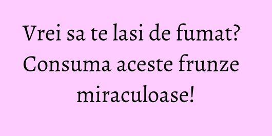 Vrei sa te lasi de fumat? Consuma aceste frunze miraculoase!