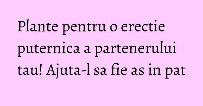Plante pentru o erectie puternica a partenerului tau! Ajuta-l sa fie as in pat Plante pentru o erectie puternica a partenerului tau! Ajuta-l sa fie as in pat